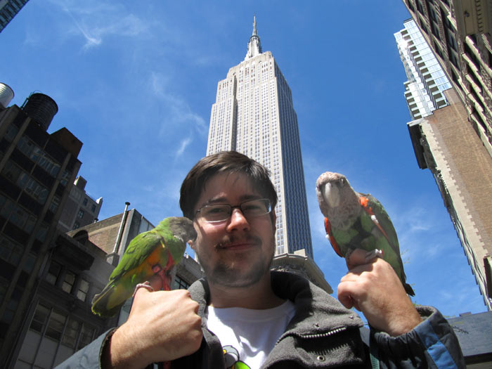 Empire State Building Parrots