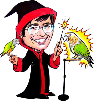 Parrot Wizard Trainer