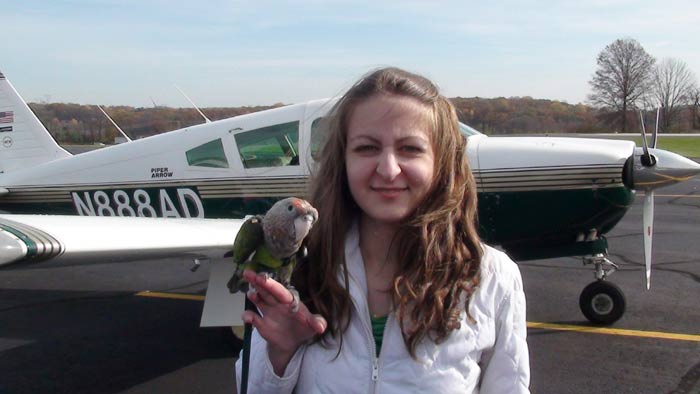 Parrot Outside Airplane