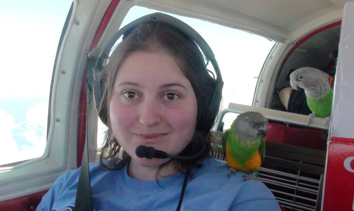Parrots in Plane