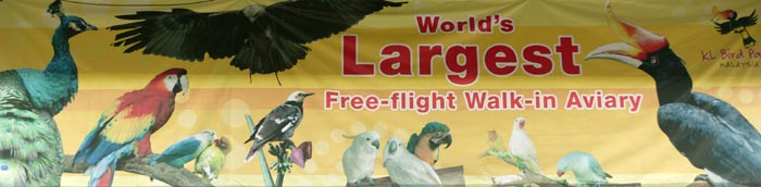 World's Largest Free Flight Walk In Aviary 
