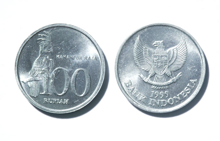 Palm Cockatoo Coin