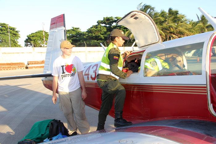 Plane Searched By Dog