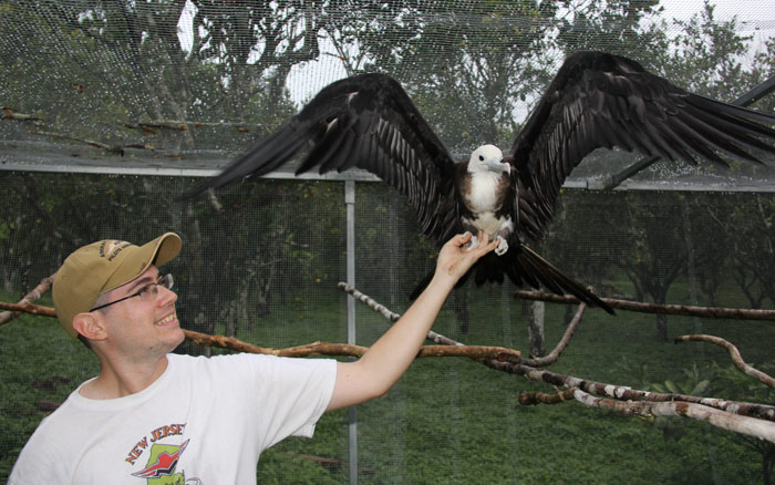 Holding a Frigate Bird