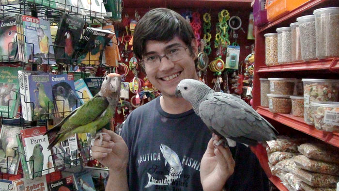 Parrot at store