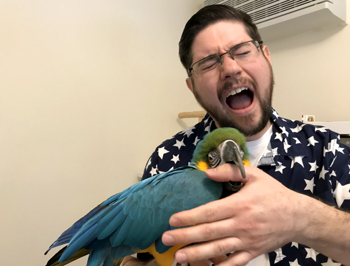 Parrot Bite Hard