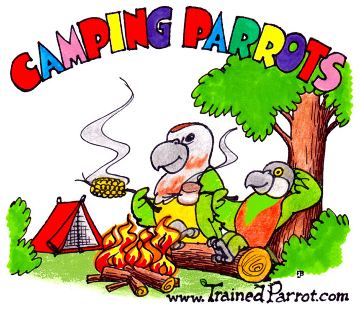 Camping Parrots Joke Cartoon