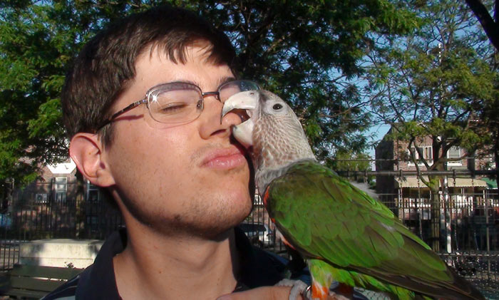 Cape Parrot Bites Nose