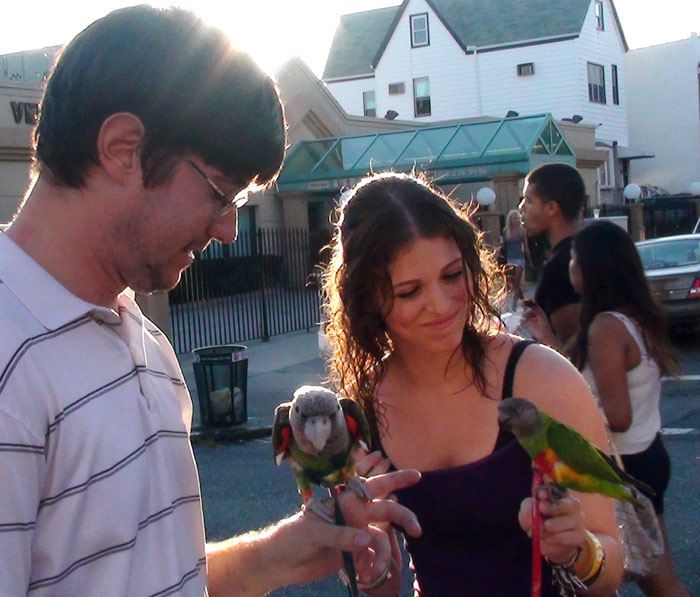 Socializing Parrots