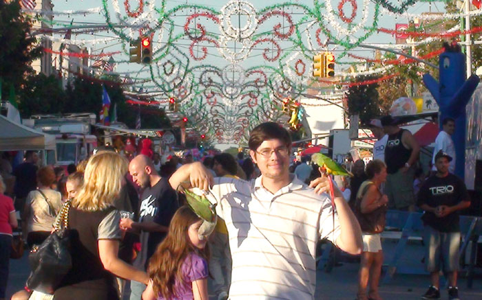 Parrots at Street Fair