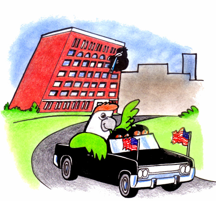 JFK Parrot Cartoon
