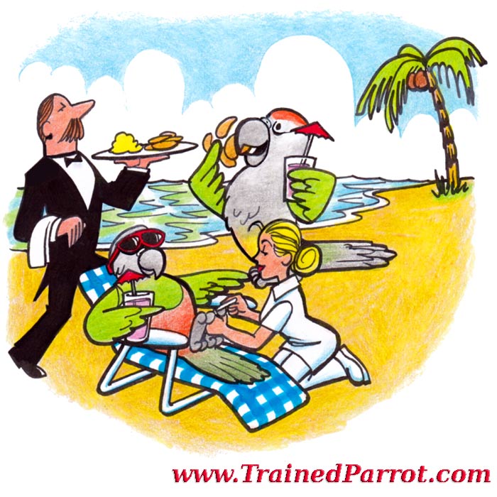 Parrots on Vacation