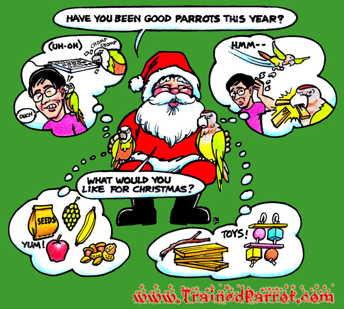 Parrot Christmas Cartoon
