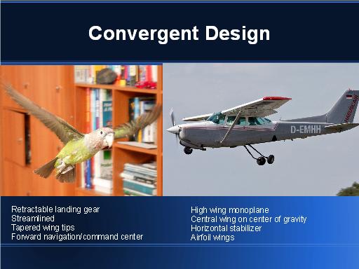 Convergent Design