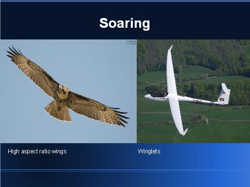 Soaring