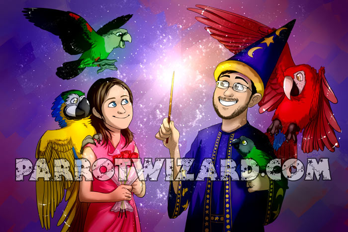 Parrot Wizard's Princess