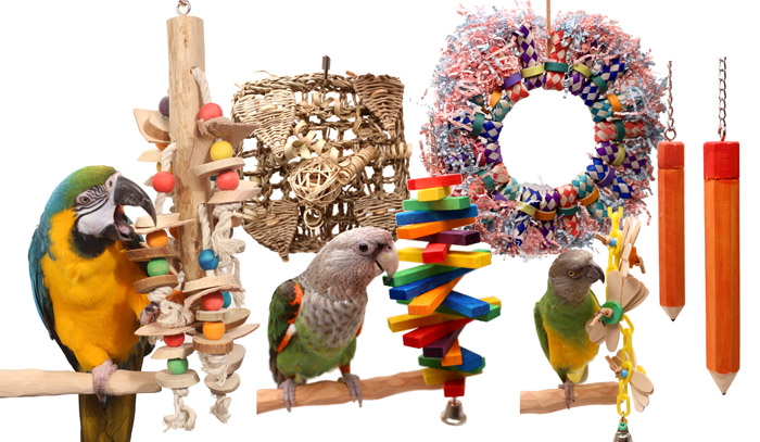Parrot Toys