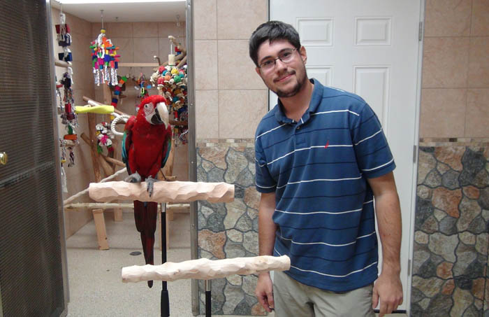 Macaw on a Training Perch