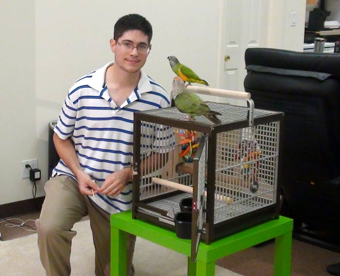 Parrots on Travel Cage