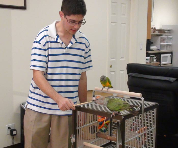 Targeting Parrots on Travel Cage