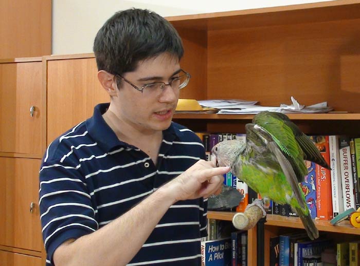 Picture of Parrot Opening Wings
