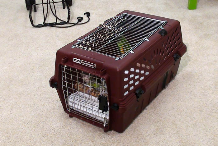 Double Parrot Winter Travel Carrier