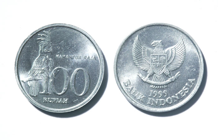 Palm Cockatoo Coin