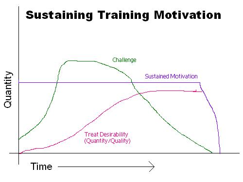 Sustained Parrot Training Motivation