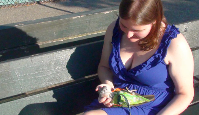 Petting Cape Parrot