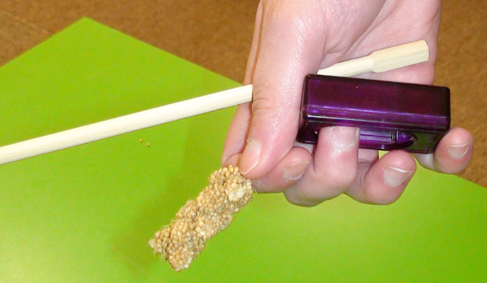 Millet Spray